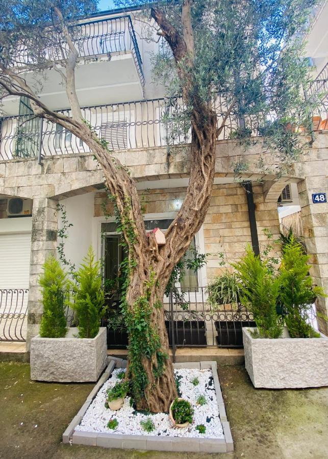 Apartment Oliva1 Petrovac ภายนอก รูปภาพ